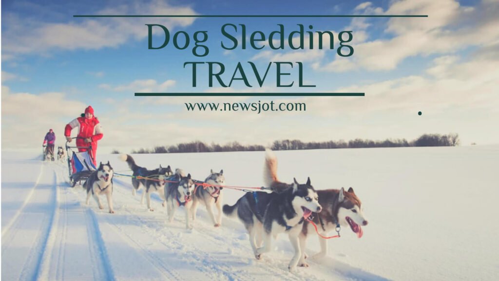 Dog Sledding